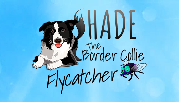 fShark Games: Shade The Border Collie Flycatcher